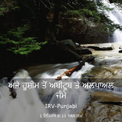Picture 03 - 1 ਇਤਿਹਾਸ 8:11 PANIRV - ਅਤੇ ਹੂਸ਼ੀਮ ਤੋਂ - Bible Verse Picture