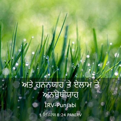 Picture 03 - 1 ਇਤਿਹਾਸ 8:24 PANIRV - ਅਤੇ ਹਨਨਯਾਹ ਤੇ ਏਲਾਮ - Bible Verse Picture