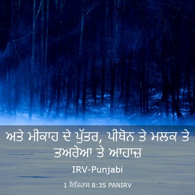 Picture 03 - 1 ਇਤਿਹਾਸ 8:35 PANIRV - ਅਤੇ ਮੀਕਾਹ ਦੇ ਪੁੱਤਰ, - Bible Verse Picture