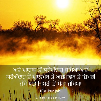 Picture 03 - 1 ਇਤਿਹਾਸ 8:36 PANIRV - ਅਤੇ ਆਹਾਜ਼ ਤੋਂ - Bible Verse Picture