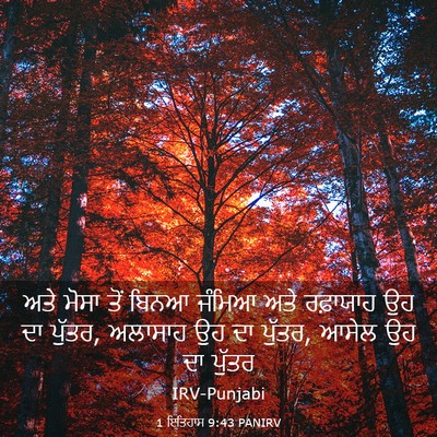 Picture 03 - 1 ਇਤਿਹਾਸ 9:43 PANIRV - ਅਤੇ ਮੋਸਾ ਤੋਂ ਬਿਨਆ - Bible Verse Picture