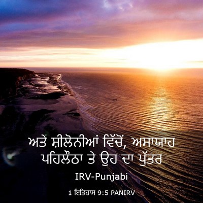 Picture 03 - 1 ਇਤਿਹਾਸ 9:5 PANIRV - ਅਤੇ ਸ਼ੀਲੋਨੀਆਂ - Bible Verse Picture