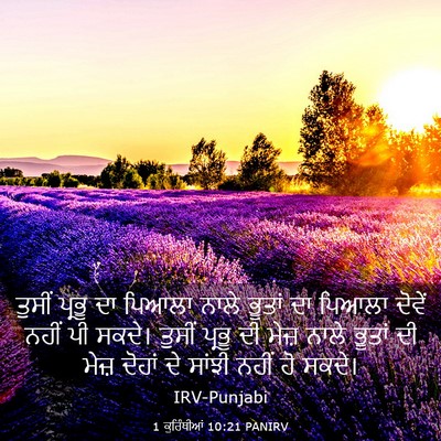 Picture 03 - 1 ਕੁਰਿੰਥੀਆਂ 10:21 PANIRV - ਤੁਸੀਂ ਪ੍ਰਭੂ ਦਾ - Bible Verse Picture
