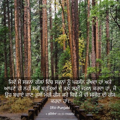 Picture 03 - 1 ਕੁਰਿੰਥੀਆਂ 10:33 PANIRV - ਜਿਵੇਂ ਮੈਂ ਸਭਨਾਂ - Bible Verse Picture