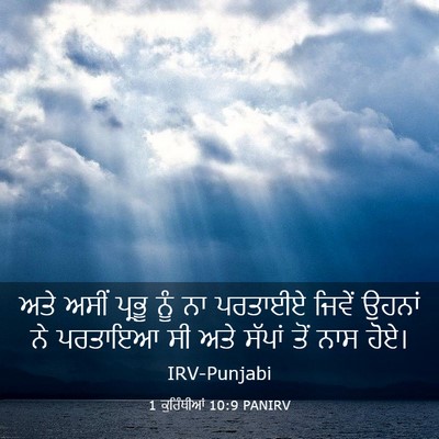Picture 03 - 1 ਕੁਰਿੰਥੀਆਂ 10:9 PANIRV - ਅਤੇ ਅਸੀਂ ਪ੍ਰਭੂ ਨੂੰ - Bible Verse Picture