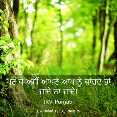 Picture 03 - 1 ਕੁਰਿੰਥੀਆਂ 11:31 PANIRV - ਪਰ ਜੇ ਅਸੀਂ ਆਪਣੇ ਆਪ - Bible Verse Picture