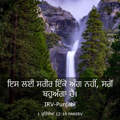Picture 03 - 1 ਕੁਰਿੰਥੀਆਂ 12:14 PANIRV - ਇਸ ਲਈ ਸਰੀਰ ਇੱਕੋ ਅੰਗ - Bible Verse Picture