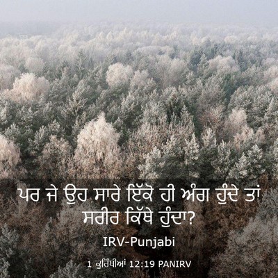 Picture 03 - 1 ਕੁਰਿੰਥੀਆਂ 12:19 PANIRV - ਪਰ ਜੇ ਉਹ ਸਾਰੇ ਇੱਕੋ - Bible Verse Picture