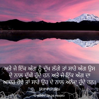 Picture 03 - 1 ਕੁਰਿੰਥੀਆਂ 12:26 PANIRV - ਅਤੇ ਜੇ ਇੱਕ ਅੰਗ ਨੂੰ - Bible Verse Picture