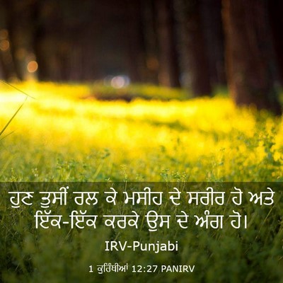 Picture 03 - 1 ਕੁਰਿੰਥੀਆਂ 12:27 PANIRV - ਹੁਣ ਤੁਸੀਂ ਰਲ ਕੇ - Bible Verse Picture