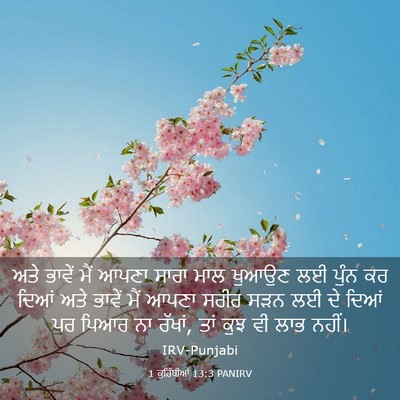 Picture 03 - 1 ਕੁਰਿੰਥੀਆਂ 13:3 PANIRV - ਅਤੇ ਭਾਵੇਂ ਮੈਂ ਆਪਣਾ - Bible Verse Picture
