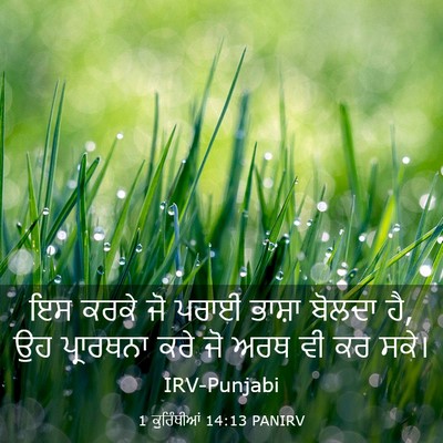 Picture 03 - 1 ਕੁਰਿੰਥੀਆਂ 14:13 PANIRV - ਇਸ ਕਰਕੇ ਜੋ ਪਰਾਈ - Bible Verse Picture