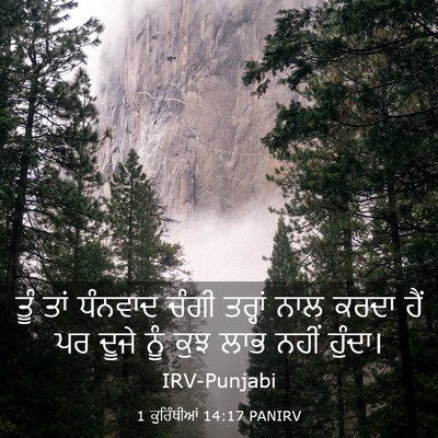 Picture 03 - 1 ਕੁਰਿੰਥੀਆਂ 14:17 PANIRV - ਤੂੰ ਤਾਂ ਧੰਨਵਾਦ - Bible Verse Picture