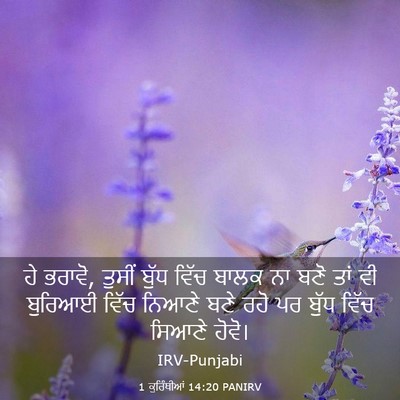 Picture 03 - 1 ਕੁਰਿੰਥੀਆਂ 14:20 PANIRV - ਹੇ ਭਰਾਵੋ, ਤੁਸੀਂ - Bible Verse Picture