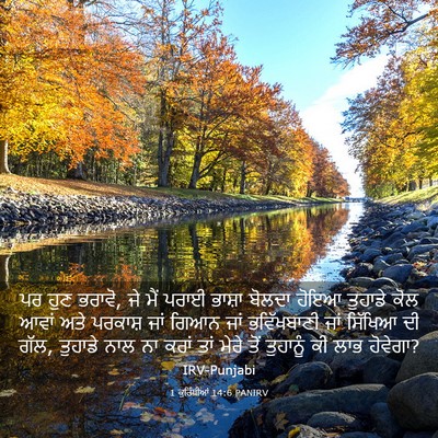 Picture 03 - 1 ਕੁਰਿੰਥੀਆਂ 14:6 PANIRV - ਪਰ ਹੁਣ ਭਰਾਵੋ, ਜੇ - Bible Verse Picture