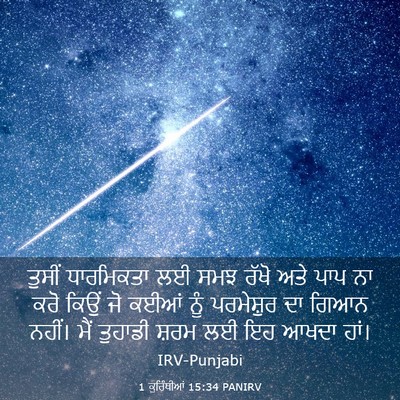 Picture 03 - 1 ਕੁਰਿੰਥੀਆਂ 15:34 PANIRV - ਤੁਸੀਂ ਧਾਰਮਿਕਤਾ ਲਈ - Bible Verse Picture