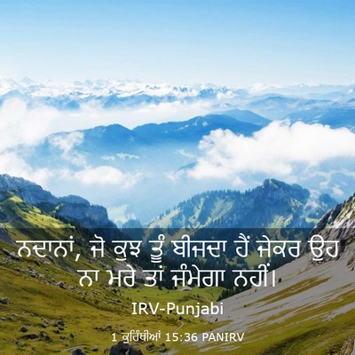 Picture 03 - 1 ਕੁਰਿੰਥੀਆਂ 15:36 PANIRV - ਨਦਾਨਾਂ, ਜੋ ਕੁਝ ਤੂੰ - Bible Verse Picture