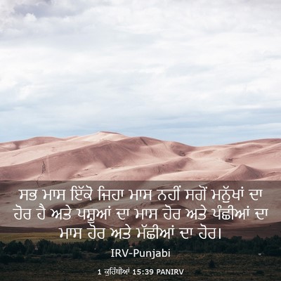 Picture 03 - 1 ਕੁਰਿੰਥੀਆਂ 15:39 PANIRV - ਸਭ ਮਾਸ ਇੱਕੋ ਜਿਹਾ - Bible Verse Picture