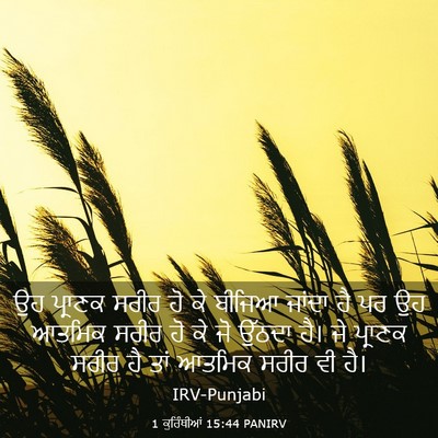 Picture 03 - 1 ਕੁਰਿੰਥੀਆਂ 15:44 PANIRV - ਉਹ ਪ੍ਰਾਣਕ ਸਰੀਰ ਹੋ - Bible Verse Picture