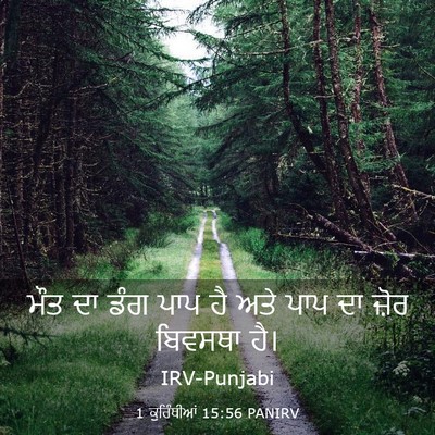 Picture 03 - 1 ਕੁਰਿੰਥੀਆਂ 15:56 PANIRV - ਮੌਤ ਦਾ ਡੰਗ ਪਾਪ ਹੈ - Bible Verse Picture