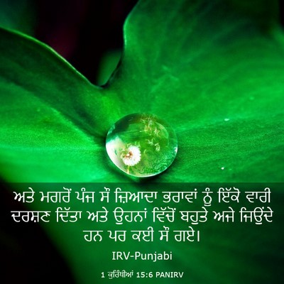Picture 03 - 1 ਕੁਰਿੰਥੀਆਂ 15:6 PANIRV - ਅਤੇ ਮਗਰੋਂ ਪੰਜ ਸੌ - Bible Verse Picture