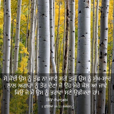 Picture 03 - 1 ਕੁਰਿੰਥੀਆਂ 16:11 PANIRV - ਸੋ ਕੋਈ ਉਸ ਨੂੰ ਤੁੱਛ - Bible Verse Picture