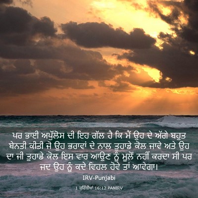 Picture 03 - 1 ਕੁਰਿੰਥੀਆਂ 16:12 PANIRV - ਪਰ ਭਾਈ ਅਪੁੱਲੋਸ ਦੀ - Bible Verse Picture