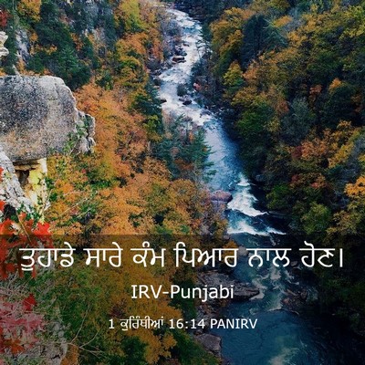 Picture 03 - 1 ਕੁਰਿੰਥੀਆਂ 16:14 PANIRV - ਤੁਹਾਡੇ ਸਾਰੇ ਕੰਮ - Bible Verse Picture
