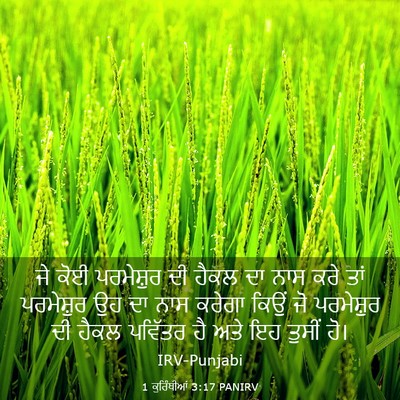 Picture 03 - 1 ਕੁਰਿੰਥੀਆਂ 3:17 PANIRV - ਜੇ ਕੋਈ ਪਰਮੇਸ਼ੁਰ ਦੀ - Bible Verse Picture