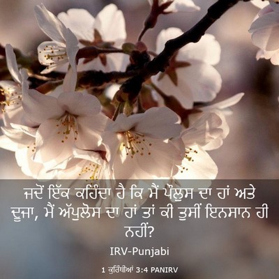 Picture 03 - 1 ਕੁਰਿੰਥੀਆਂ 3:4 PANIRV - ਜਦੋਂ ਇੱਕ ਕਹਿੰਦਾ ਹੈ - Bible Verse Picture