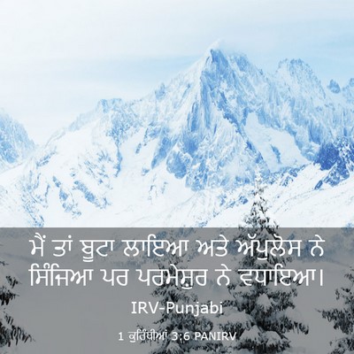 Picture 03 - 1 ਕੁਰਿੰਥੀਆਂ 3:6 PANIRV - ਮੈਂ ਤਾਂ ਬੂਟਾ ਲਾਇਆ - Bible Verse Picture