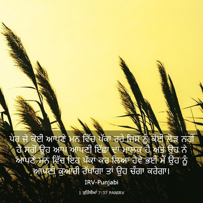 Picture 03 - 1 ਕੁਰਿੰਥੀਆਂ 7:37 PANIRV - ਪਰ ਜੇ ਕੋਈ ਆਪਣੇ ਮਨ - Bible Verse Picture