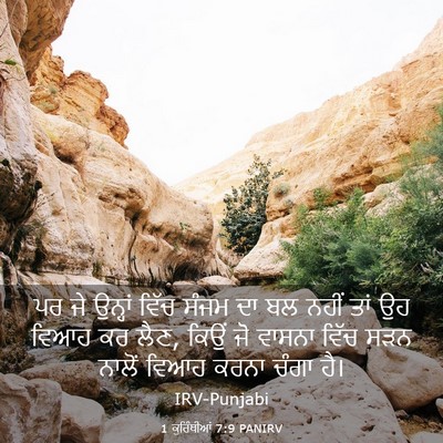 Picture 03 - 1 ਕੁਰਿੰਥੀਆਂ 7:9 PANIRV - ਪਰ ਜੇ ਉਨ੍ਹਾਂ ਵਿੱਚ - Bible Verse Picture
