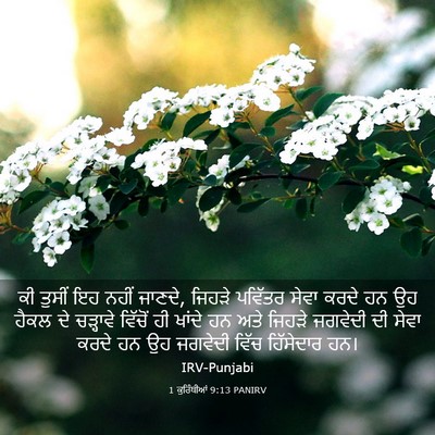 Picture 03 - 1 ਕੁਰਿੰਥੀਆਂ 9:13 PANIRV - ਕੀ ਤੁਸੀਂ ਇਹ ਨਹੀਂ - Bible Verse Picture