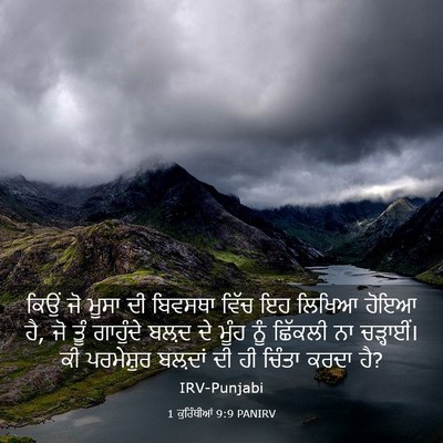 Picture 03 - 1 ਕੁਰਿੰਥੀਆਂ 9:9 PANIRV - ਕਿਉਂ ਜੋ ਮੂਸਾ ਦੀ - Bible Verse Picture
