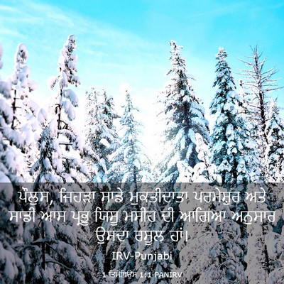 Picture 03 - 1 ਤਿਮੋਥਿਉਸ 1:1 PANIRV - ਪੌਲੁਸ, ਜਿਹੜਾ ਸਾਡੇ - Bible Verse Picture