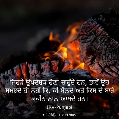 Picture 03 - 1 ਤਿਮੋਥਿਉਸ 1:7 PANIRV - ਜਿਹੜੇ ਉਪਦੇਸ਼ਕ - Bible Verse Picture