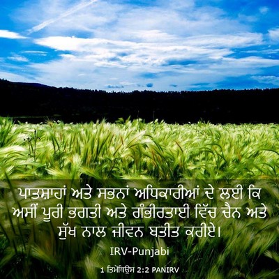 Picture 03 - 1 ਤਿਮੋਥਿਉਸ 2:2 PANIRV - ਪਾਤਸ਼ਾਹਾਂ ਅਤੇ - Bible Verse Picture