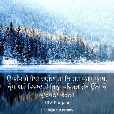 Picture 03 - 1 ਤਿਮੋਥਿਉਸ 2:8 PANIRV - ਉਪਰੰਤ ਮੈਂ ਇਹ - Bible Verse Picture