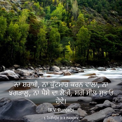 Picture 03 - 1 ਤਿਮੋਥਿਉਸ 3:3 PANIRV - ਨਾ ਸ਼ਰਾਬੀ, ਨਾ - Bible Verse Picture