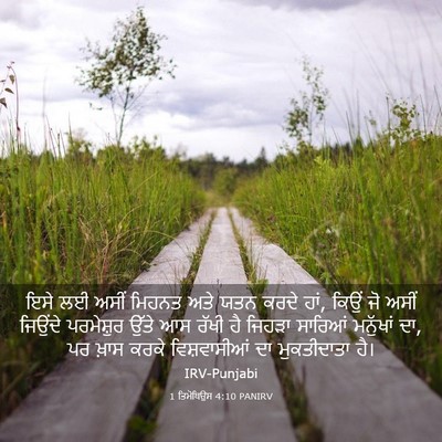 Picture 03 - 1 ਤਿਮੋਥਿਉਸ 4:10 PANIRV - ਇਸੇ ਲਈ ਅਸੀਂ ਮਿਹਨਤ - Bible Verse Picture