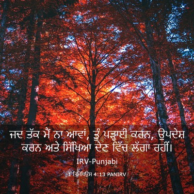 Picture 03 - 1 ਤਿਮੋਥਿਉਸ 4:13 PANIRV - ਜਦ ਤੱਕ ਮੈਂ ਨਾ ਆਵਾਂ, - Bible Verse Picture