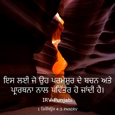 Picture 03 - 1 ਤਿਮੋਥਿਉਸ 4:5 PANIRV - ਇਸ ਲਈ ਜੋ ਉਹ - Bible Verse Picture