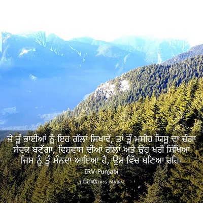 Picture 03 - 1 ਤਿਮੋਥਿਉਸ 4:6 PANIRV - ਜੇ ਤੂੰ ਭਾਈਆਂ ਨੂੰ ਇਹ - Bible Verse Picture