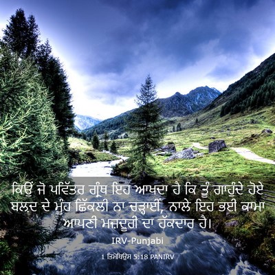 Picture 03 - 1 ਤਿਮੋਥਿਉਸ 5:18 PANIRV - ਕਿਉਂ ਜੋ ਪਵਿੱਤਰ - Bible Verse Picture