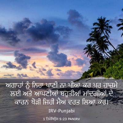 Picture 03 - 1 ਤਿਮੋਥਿਉਸ 5:23 PANIRV - ਅਗਾਹਾਂ ਨੂੰ ਨਿਰਾ - Bible Verse Picture
