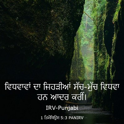 Picture 03 - 1 ਤਿਮੋਥਿਉਸ 5:3 PANIRV - ਵਿਧਵਾਵਾਂ ਦਾ - Bible Verse Picture