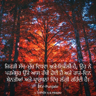 Picture 03 - 1 ਤਿਮੋਥਿਉਸ 5:5 PANIRV - ਜਿਹੜੀ ਸੱਚ-ਮੁੱਚ - Bible Verse Picture
