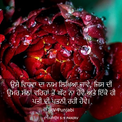 Picture 03 - 1 ਤਿਮੋਥਿਉਸ 5:9 PANIRV - ਉਸੇ ਵਿਧਵਾ ਦਾ ਨਾਮ - Bible Verse Picture