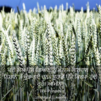 Picture 03 - 1 ਤਿਮੋਥਿਉਸ 6:21 PANIRV - ਕਈ ਲੋਕ ਉਸ ਗਿਆਨ ਨੂੰ - Bible Verse Picture